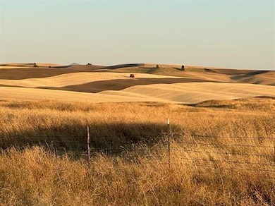 TBD Main St, Other, WA OTHER - photo 4