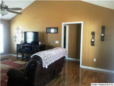 Vaulted Ceilings in Living Room