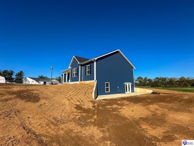 171 Gordon Dr, Ekron, KY 40117 - photo 5