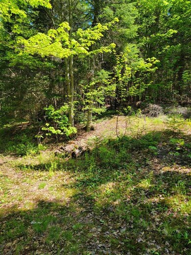 0 Mountain View Ln, Colebrook, NH 03576 - photo 3