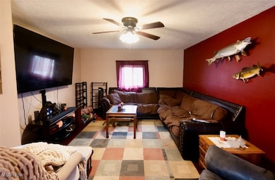 2024 S Newton Falls Rd, Diamond, OH 44412 - photo 7