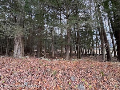 Tbd Park, Lexington, NY 12452 - photo 6