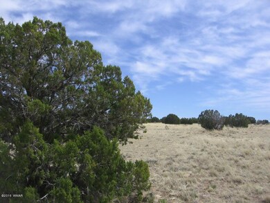 16 acres Twin Tanks 001