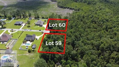 112 Vixenhill Dr, Jesup, GA 31546 - photo 6