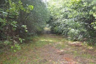 26.8 Acres Jimi Brumfield Rd, Franklinton, LA 70438 - photo 4