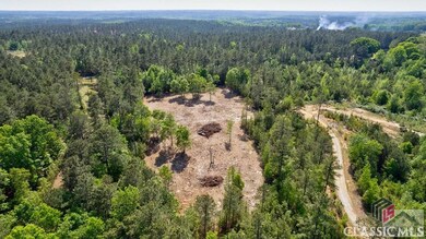 1602 Hulmes Chapel Rd, Elberton, GA 30635 - photo 4