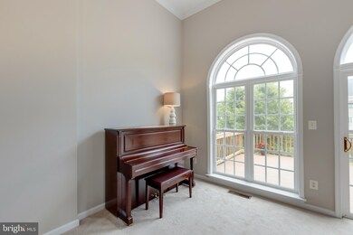 24612 Nettle Mill Square, Stone Ridge, VA 20105 - photo 5