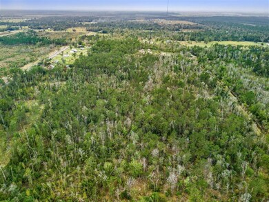 0 Woods Rd unit SWL25102309, Other City, LA 70668 - photo 5