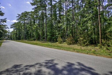 Lot 5 Greenway Dr, Jacksonville, NC 28546 - photo 4