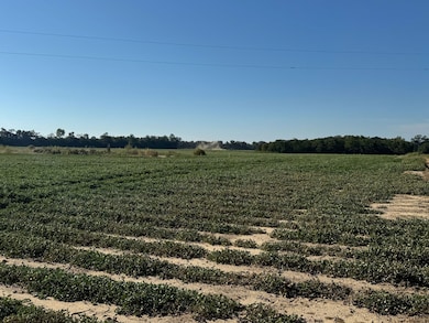 1043 Wacaser Corner Rd, Colquitt, GA 39837 - photo 2