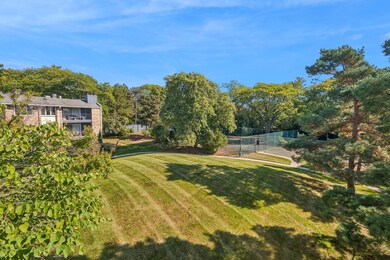 2021 Ammer Ridge Ct unit 302, Glenview, IL 60025 - photo 6