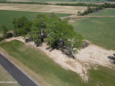 13 Como Trace Dr, Senatobia, MS 38668 - photo 5