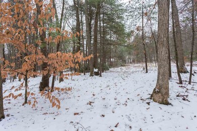 25 Bunker Hill Ave, Stratham, NH 03885 - photo 5