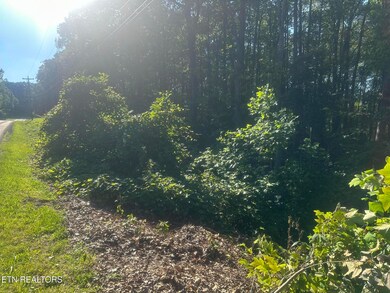 0 Renegade Mountain Pkwy unit 1305164, Crab Orchard, TN 37723 - photo 6