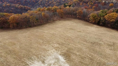 Tract 9 Polston Ln, Hickory Grove Township, MO 63357 - photo 3