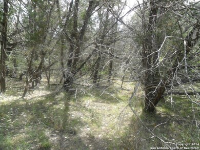 13544 Cherry Canyon, Helotes, TX 78023 - photo 4