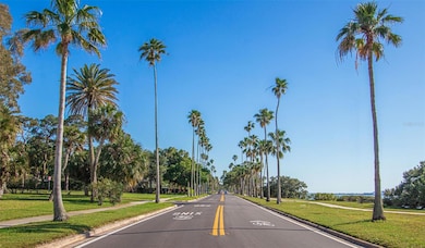 229 Lime Cir S, Dunedin, FL 34698 - photo 5