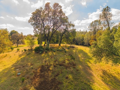 6-web-or-mls-IMG-06-3