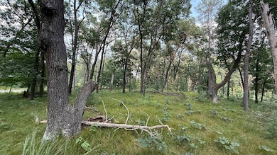 W2047 County Rd N, Lyndon Station, WI 53944 - photo 2