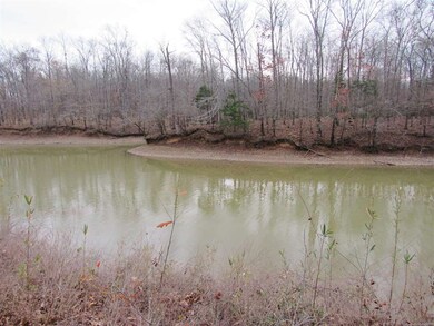 0 Whiteoak Rd E, Clifton, TN 38425 - photo 5