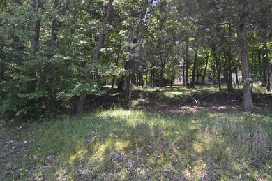 Tbd Wildflower Lots 31 & 32, Kimberling City, MO 65686 - photo 4