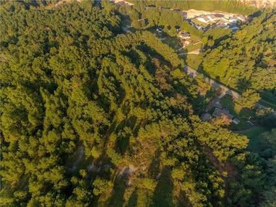 1428 Bobo Rd, Dallas, GA 30132 - photo 5