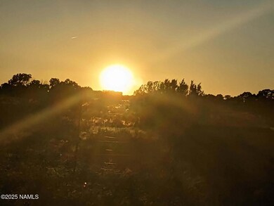 2515 E Wingfield Rd, Valle, AZ 86046 - photo 6