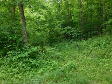 2330 Sulphur Springs Hollow Rd, Somerset, KY 42501 - photo 2