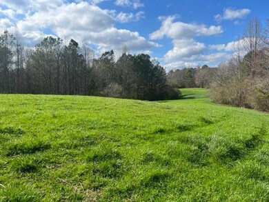 View of grassy yard featuring a wooded view and a 