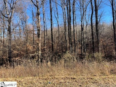 00 Welcome Church Rd, Westminster, SC 29693 - photo 2