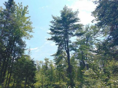 Land.