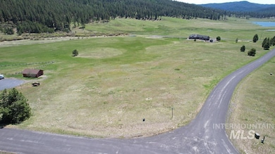 Overview of rural landscape featuring a heavily wooded area and a mountain backdrop