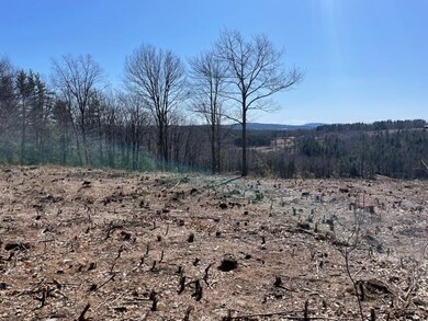 Lot 16 Cass Hill Rd, Meredith, NH 03253 - photo 5