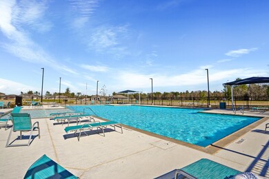 24851 King Palm Trace, Magnolia, TX 77355 - photo 2