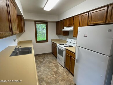 5860 E Pilgrim Ct unit 3, Wasilla, AK 99654 - photo 6