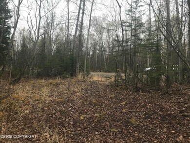 7963 S Lucindas Place, Wasilla, AK 99623 - photo 5