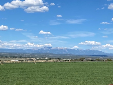 10377 Road 23 5, Cortez, CO 81321 - photo 5