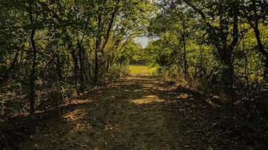 110 County Road 208, Gainesville, TX 76240 - photo 5