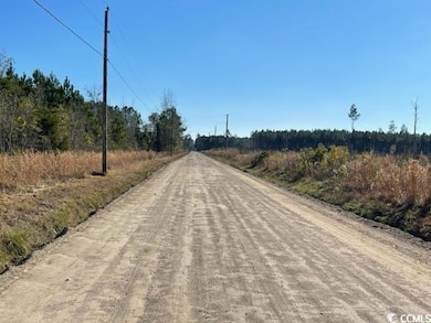 View of dirt / gravel road