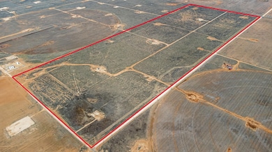 0, Loop, TX 79342 - photo 4