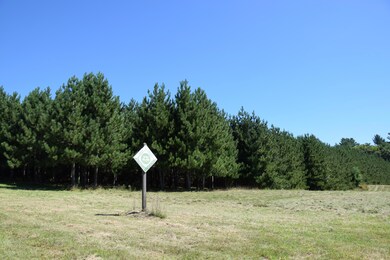 M2 L10 Madison Rd, Norridgewock, ME 04957 - photo 2