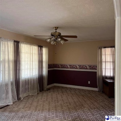 806 E 3rd Ave, Lake View, SC 29563 - photo 2