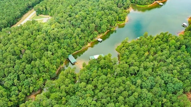 04-Lighthouse Pointe Drone Shots (3 of 2