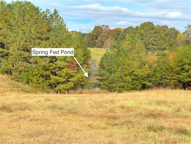 00 White Cut Rd, Walhalla, SC 29691 - photo 3