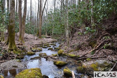 117 Speckled Feather Pass, Sapphire, NC 28774 - photo 4