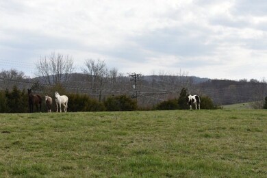 4646 Rickman Rd, Cookeville, TN 38506 - photo 5