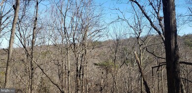 Lots 34 & 35 Aspen Way N, Basye, VA 22810 - photo 2