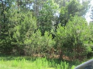 28632 Pleasant Forest, Magnolia, TX 77355 - photo 3