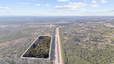 705 Catclaw Rd, Andrews, SC 29510 - photo 4