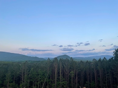 109 Cherokee Ridge Dr, Ocoee, TN 37361 - photo 4